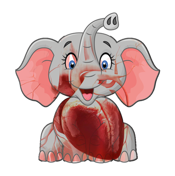 Image9 Ensemble contre la Cardiomyopathie - Clémence Gualy